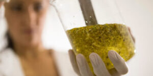 Olie en Tinctuur laboratoriumglasbee-naturalles